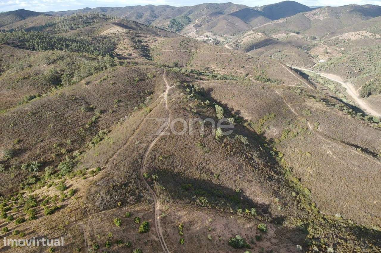 Terreno Rústico em Foz do Ribeiro com 7.920m2, S.B.Messines - Grande imagem: 3/15