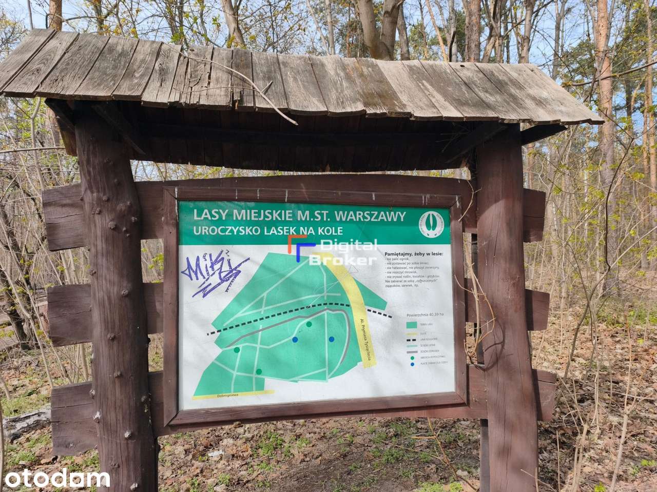 Cicha kawalerka w otoczeniu zieleni | po remoncie | od zaraz