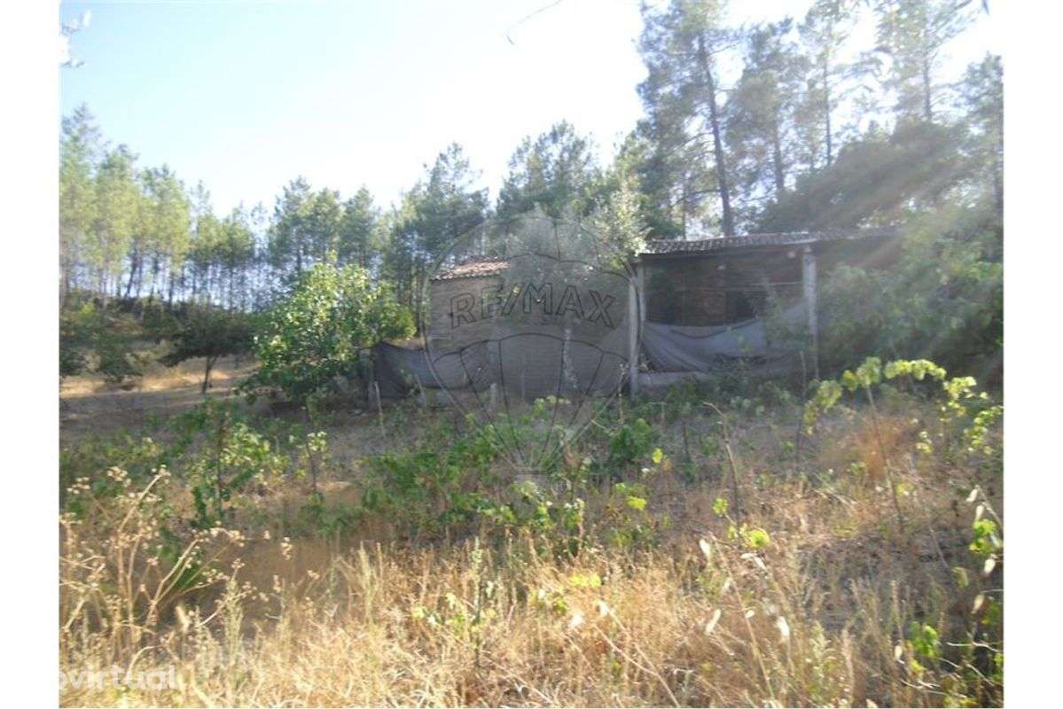 Quinta T0 para venda - Grande imagem: 4/50