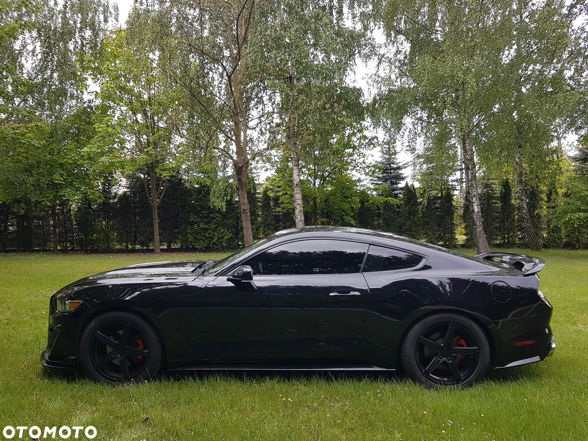 Ford Mustang 3.7 V6 - 1