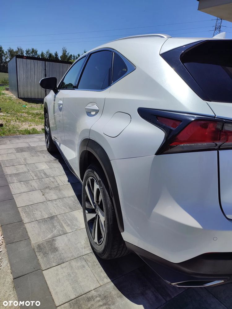 Lexus NX 300 - 6