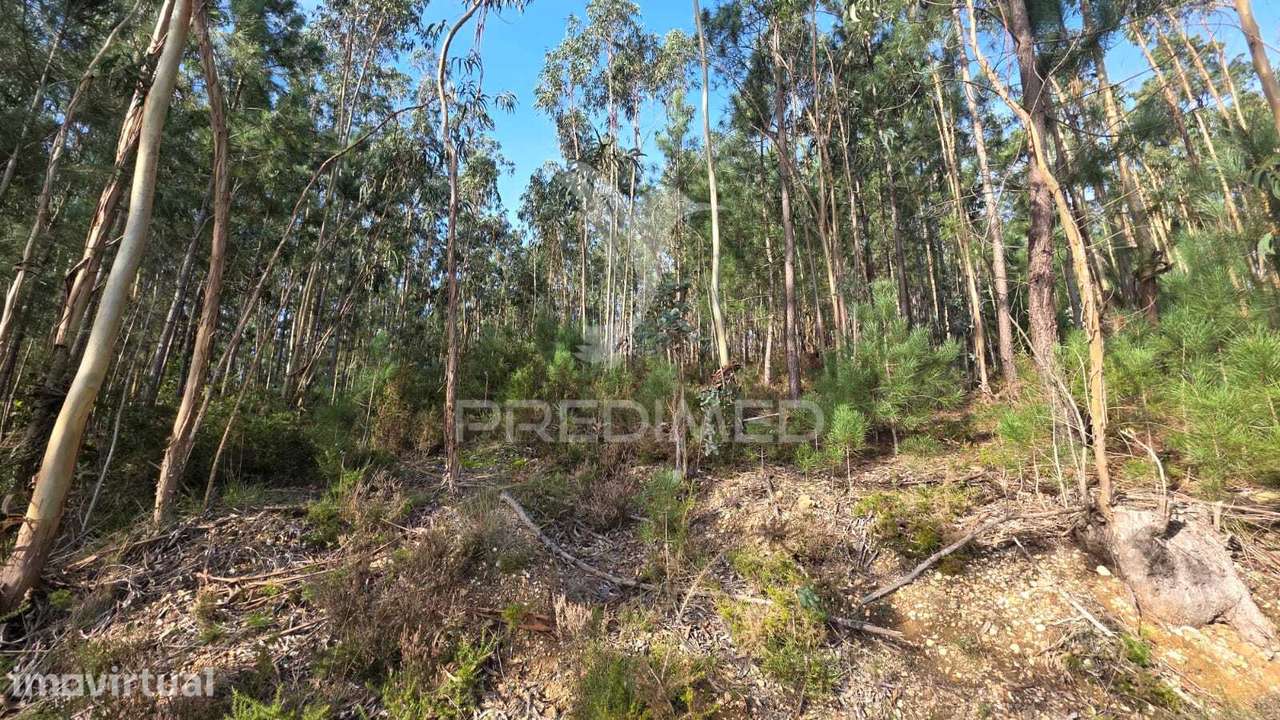 Oportunidade - Terreno Urbano com 842 m² – Santa Eufémia, Leiria - Grande imagem: 2/22