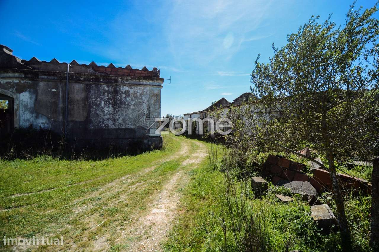 Quinta 19 hectares Rio Maior, Santarém - Grande imagem: 3/31