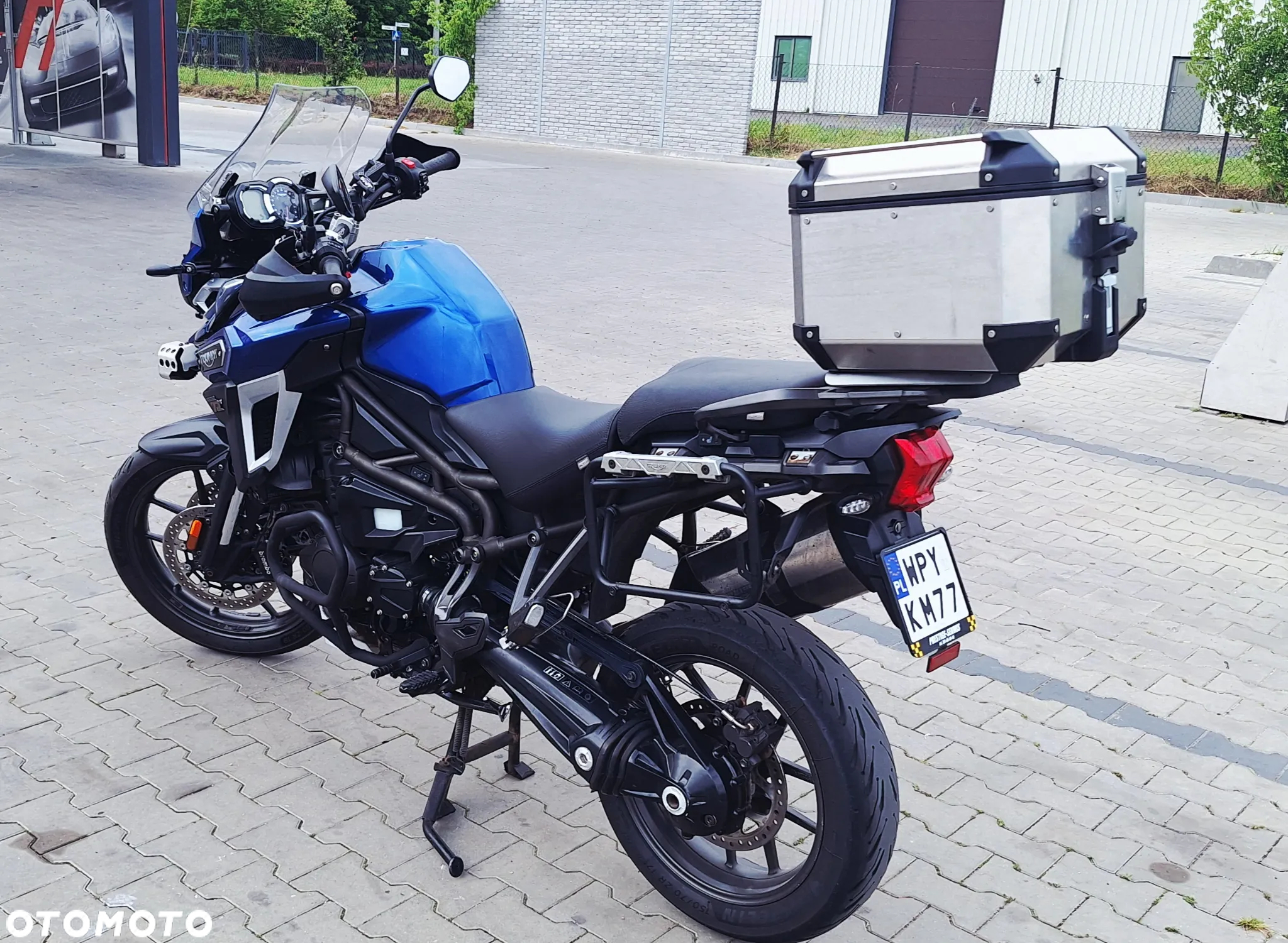 Triumph Tiger - 11