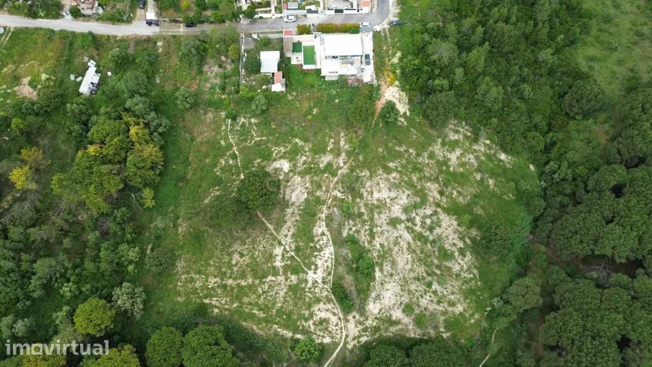 Terreno Rústico com 7.920 m² em Vilalonga – Excelente Oportunidade de - Grande imagem: 3/5