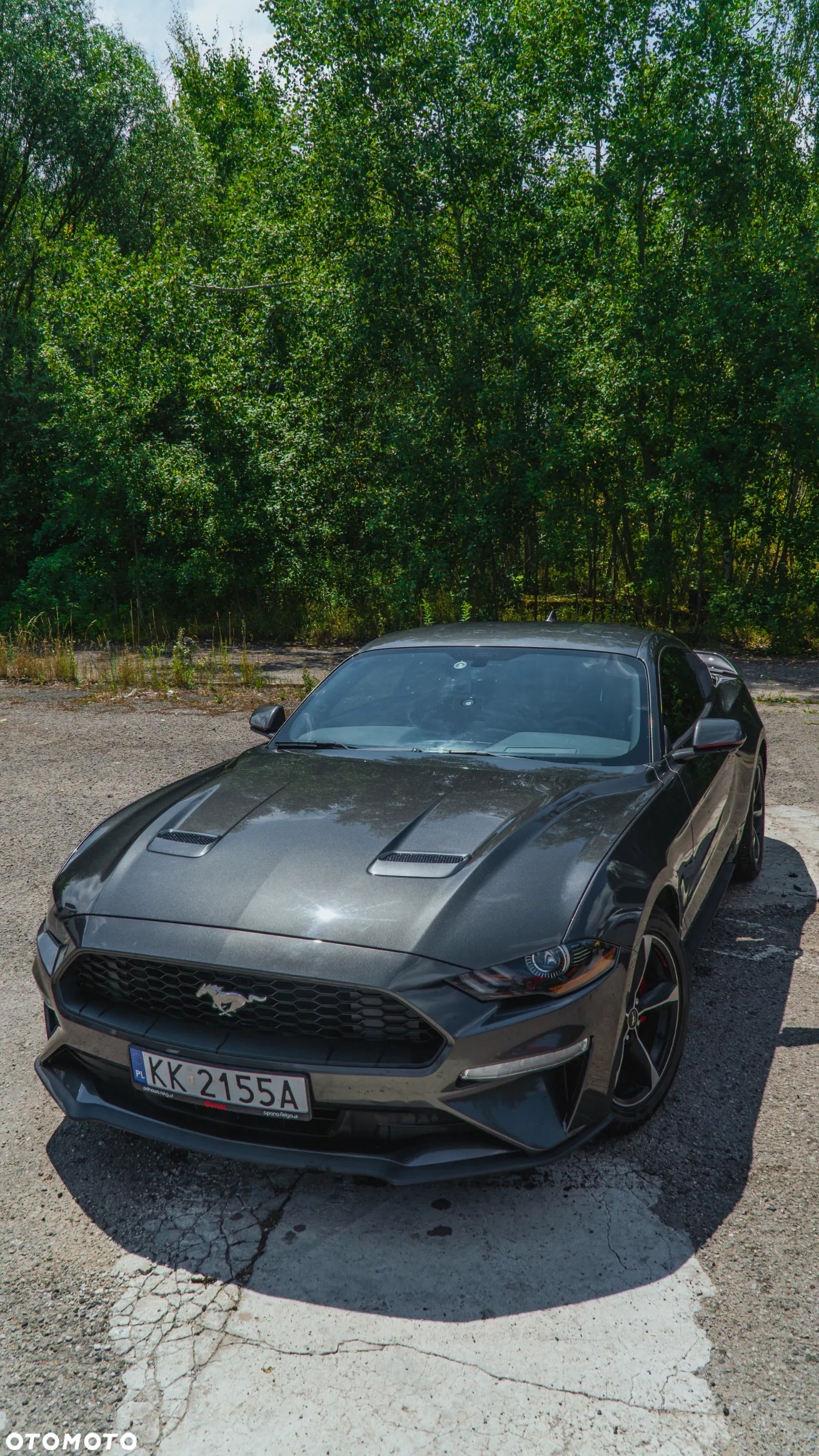 Ford Mustang 2.3 Eco Boost - 3