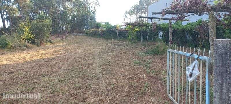Terreno de construção 1600m2 - Grande imagem: 2/4
