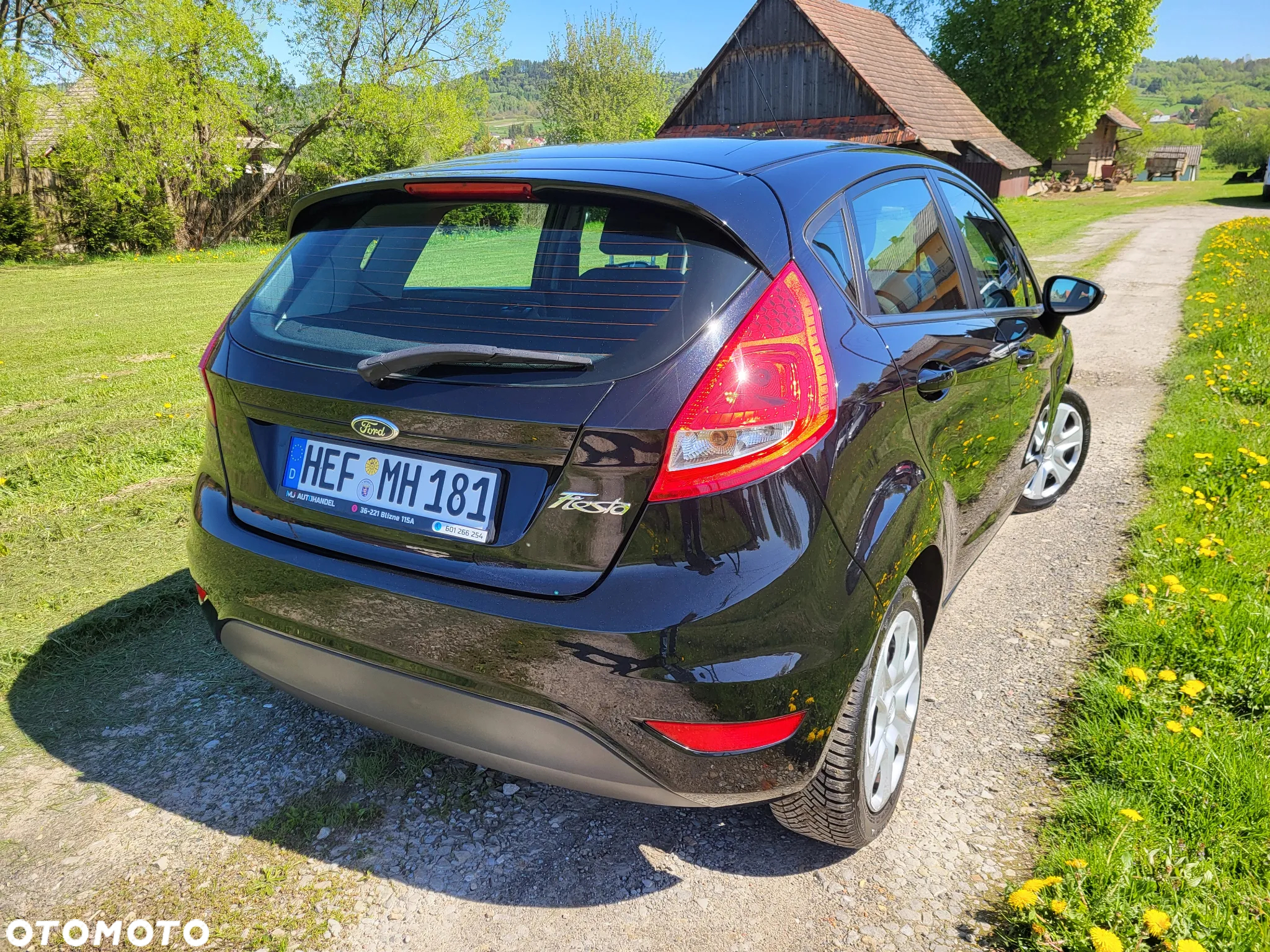 Ford Fiesta 1.25 Ghia - 11
