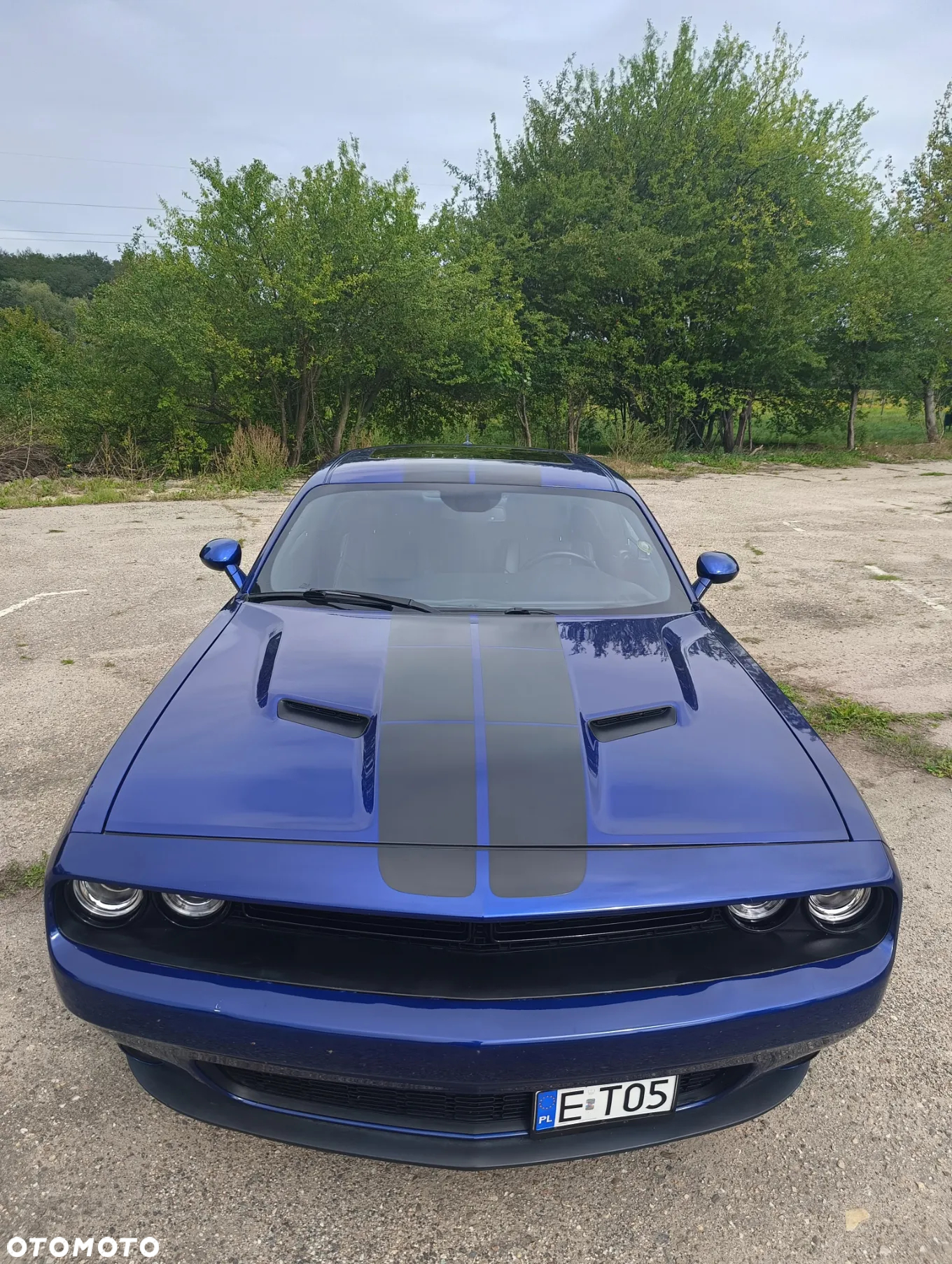Dodge Challenger Automatik SXT Plus - 15