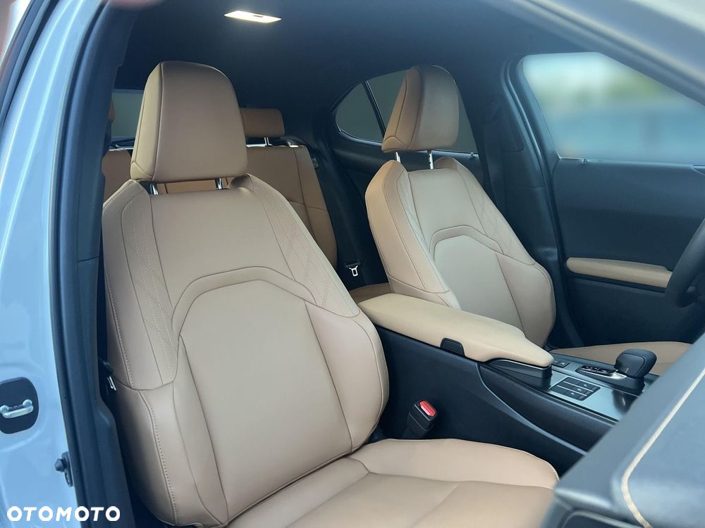 Lexus UX 300h F Sport Design - 23