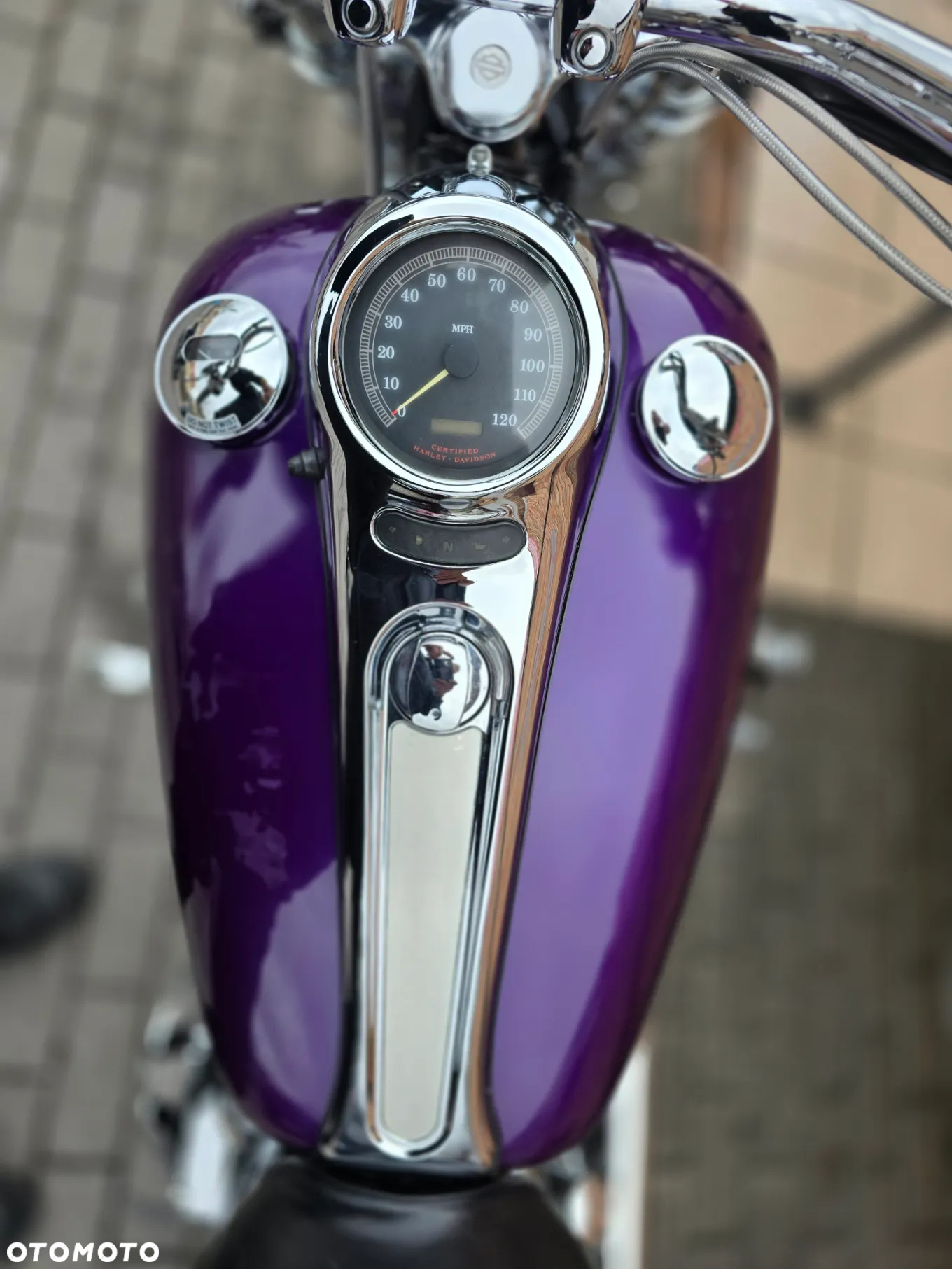 Harley-Davidson Softail - 9