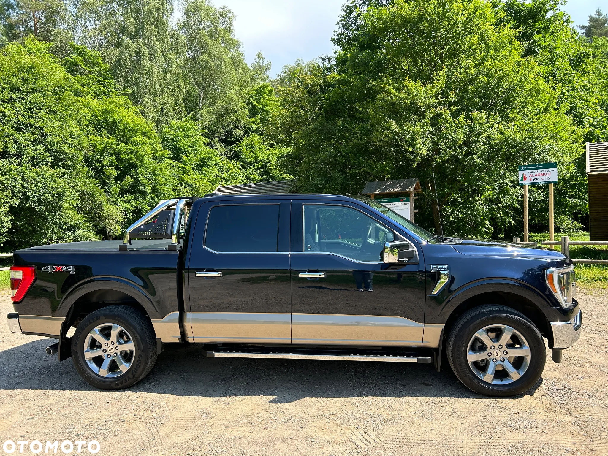 Ford F150 - 12