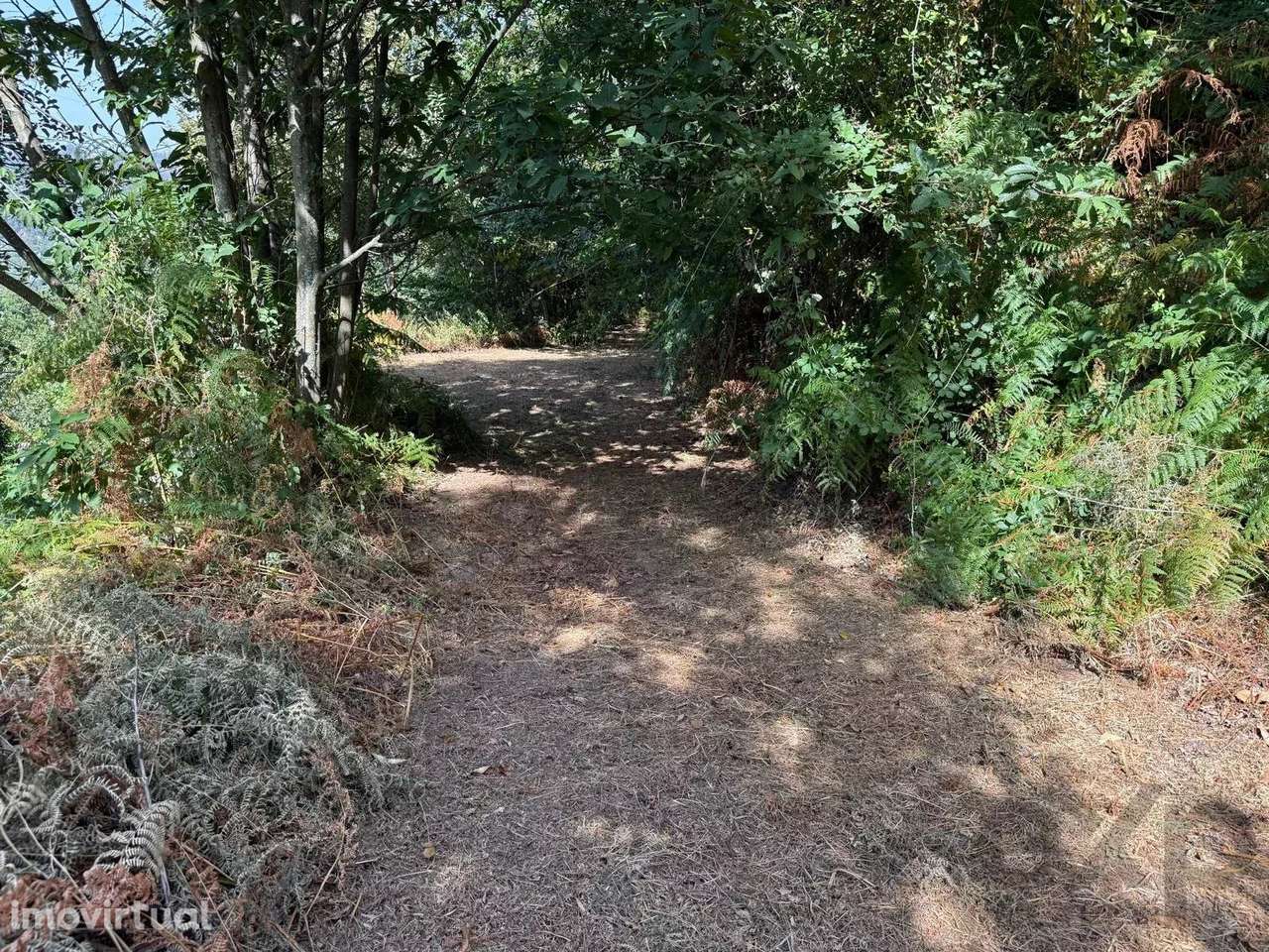 Terreno à Venda em Aviture, Cinfães - Grande imagem: 3/20