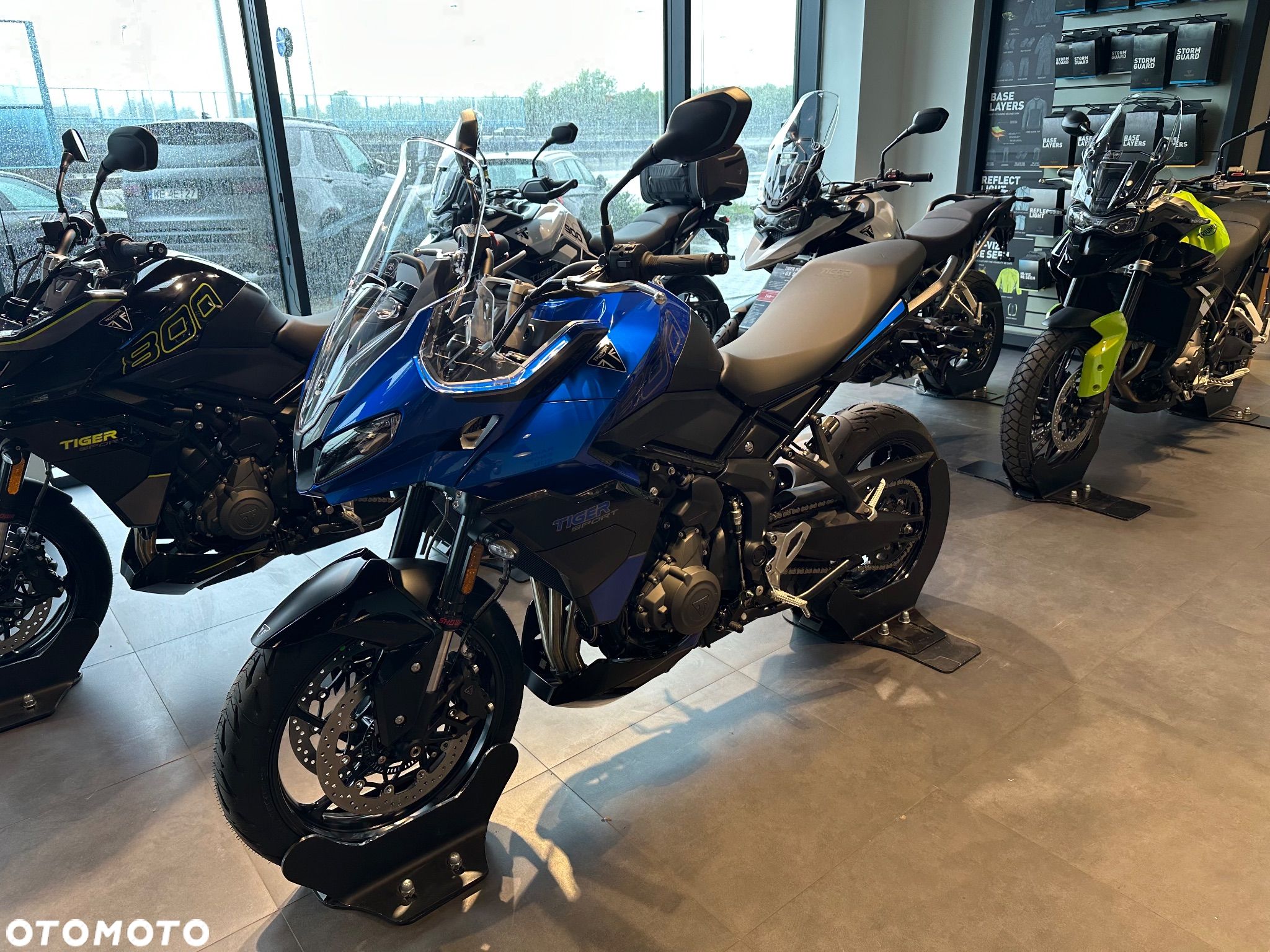 Triumph Tiger - 1