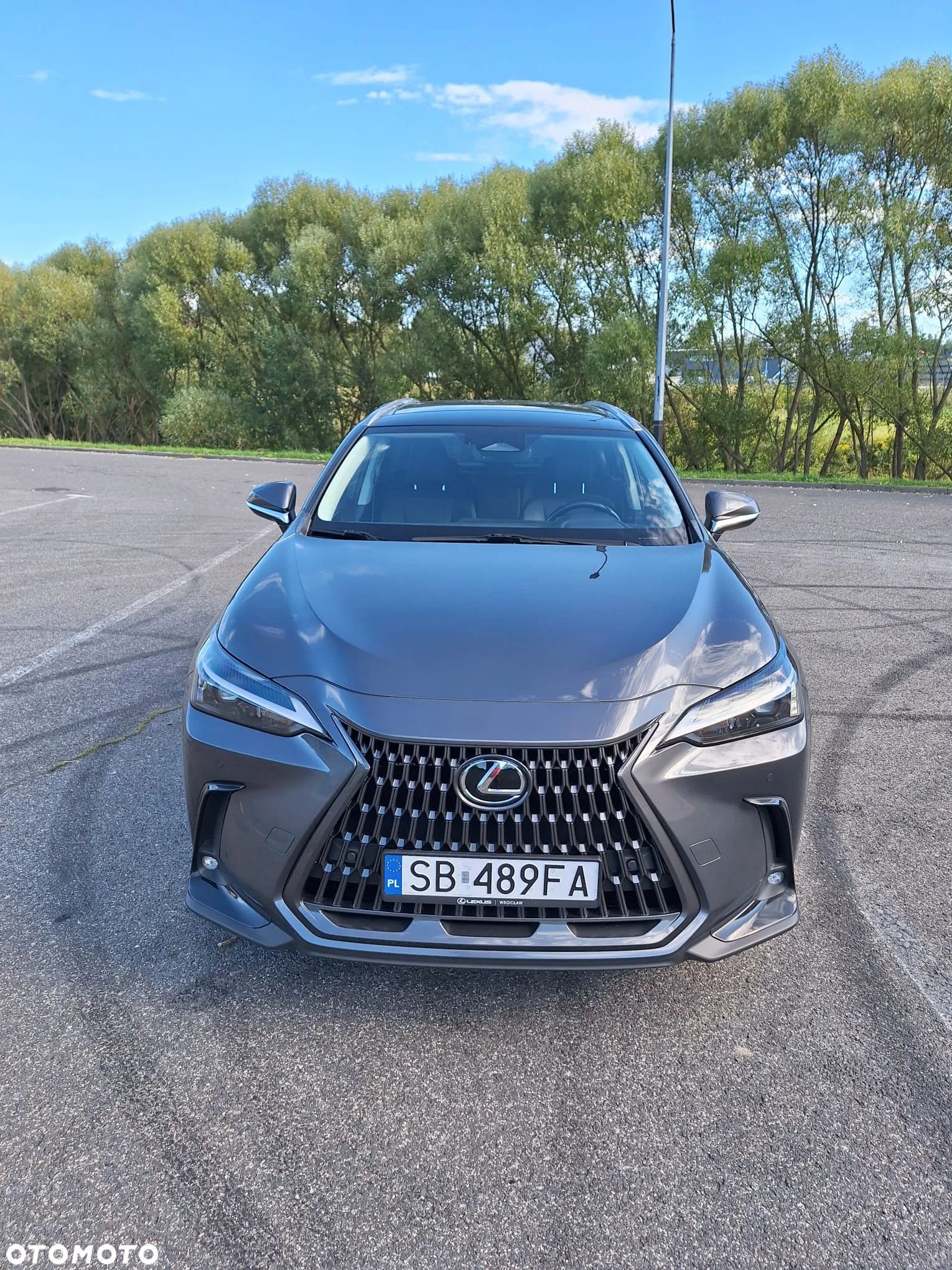 Lexus NX 350h Prestige AWD - 1