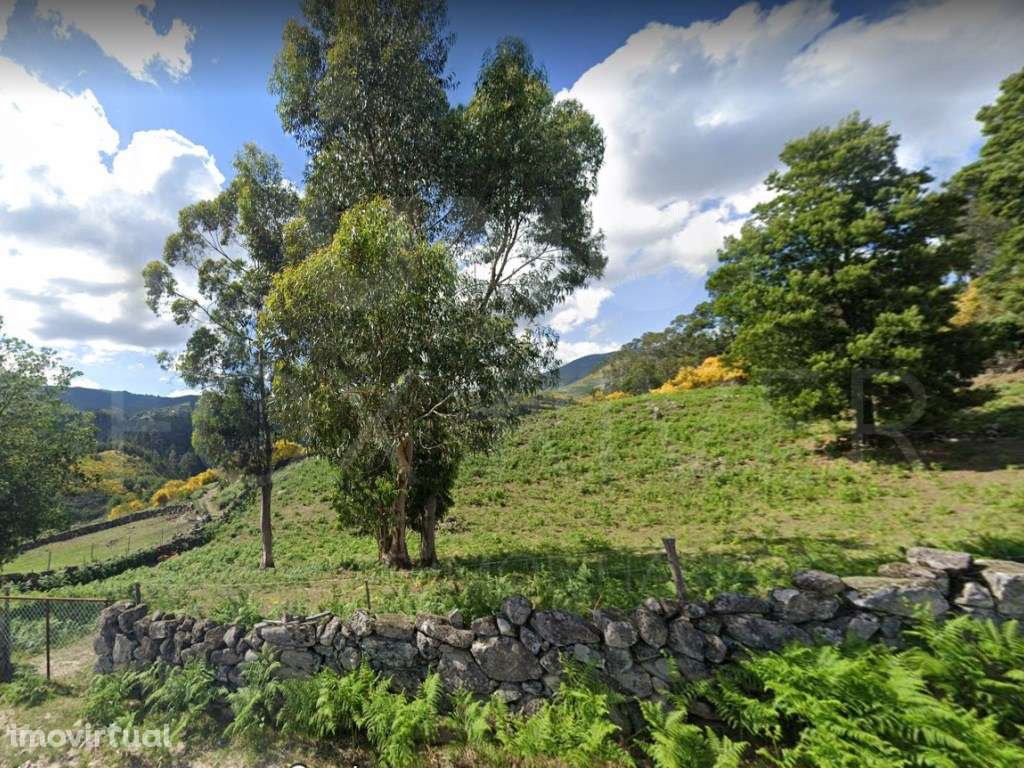 Quinta para recuperar - Soajo, Viana do Castelo - Grande imagem: 3/13