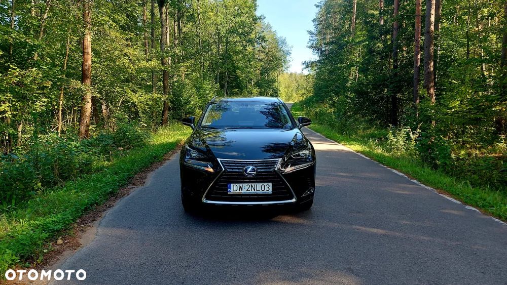 Lexus NX - 4