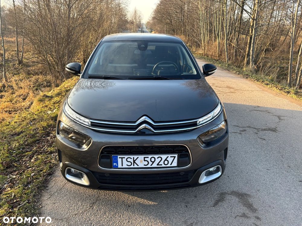 Citroën C4 Cactus BlueHDi 100 Stop&Start Shine - 2