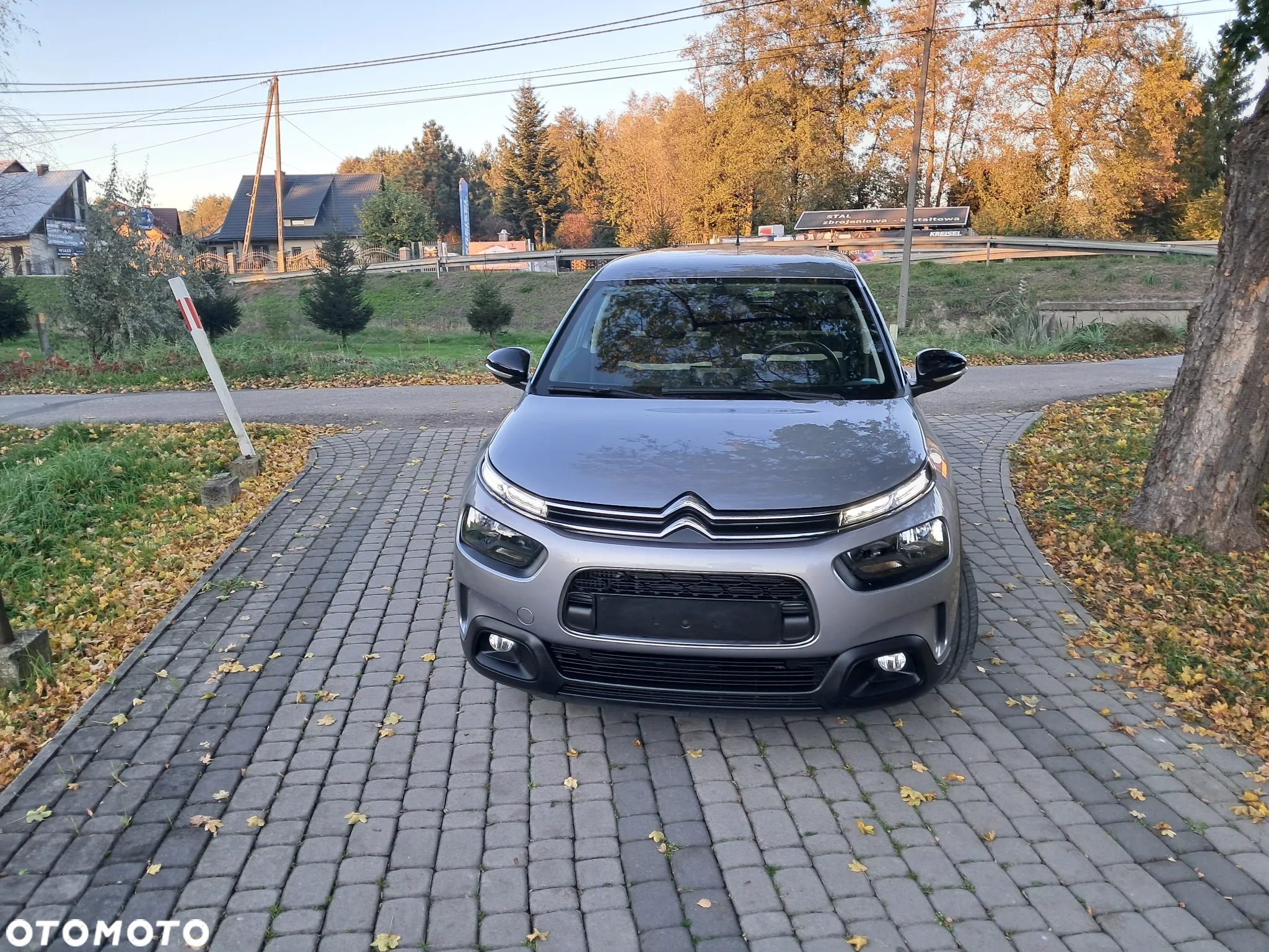 Citroën C4 Cactus PureTech 110 Stop&Start Shine - 2
