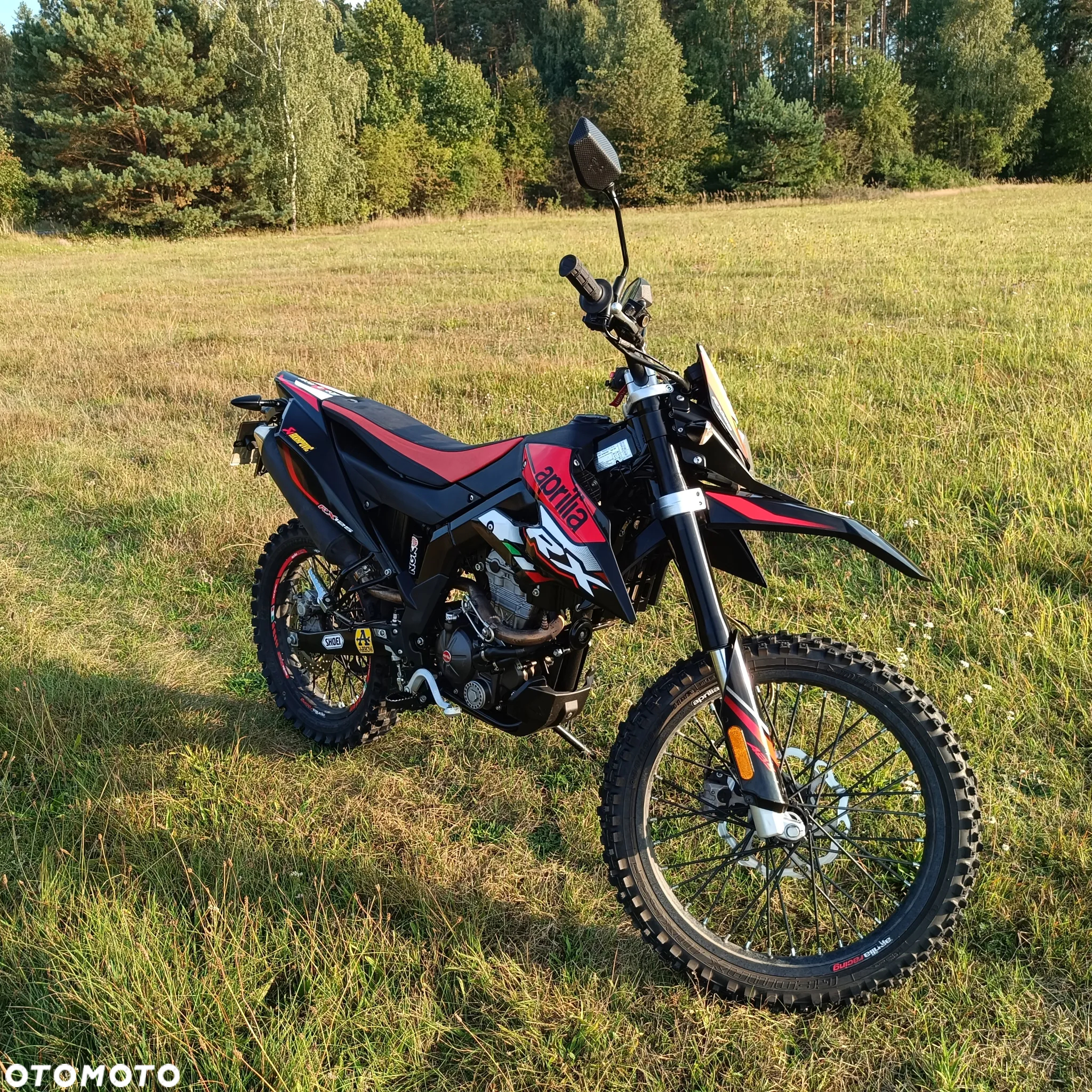 Aprilia RX - 10
