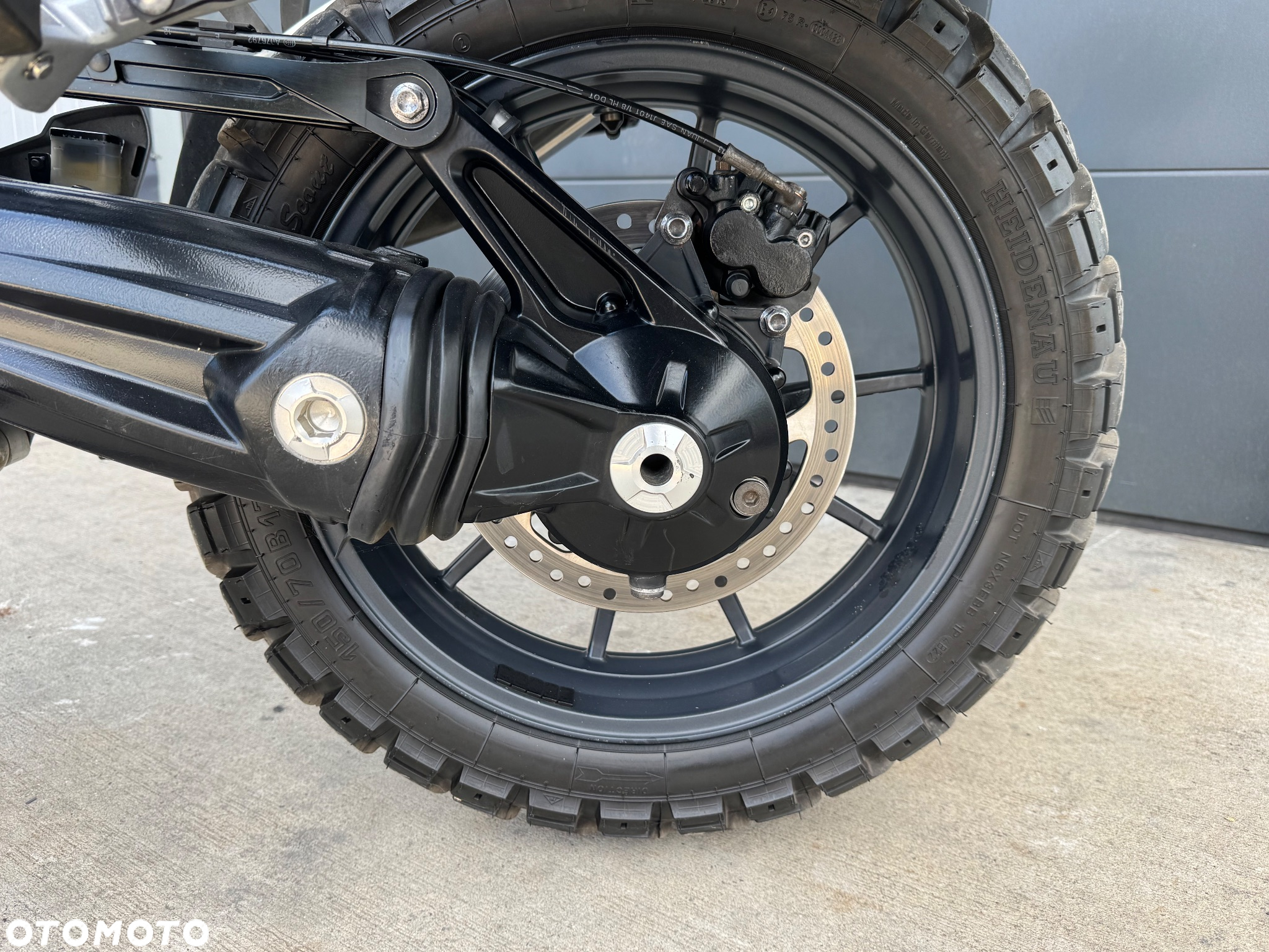 Triumph Tiger - 22
