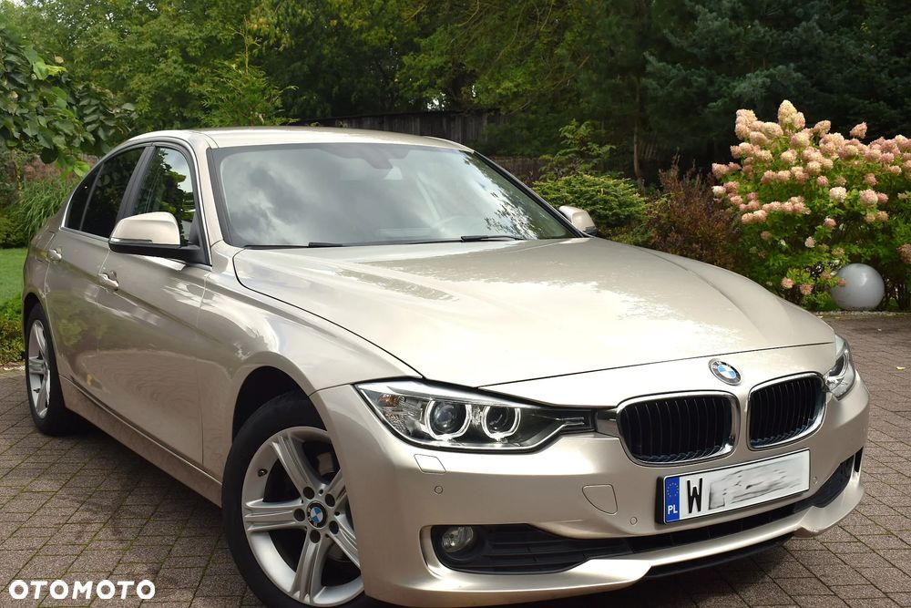 BMW Seria 3 318d Blue Performance Luxury Line - 11
