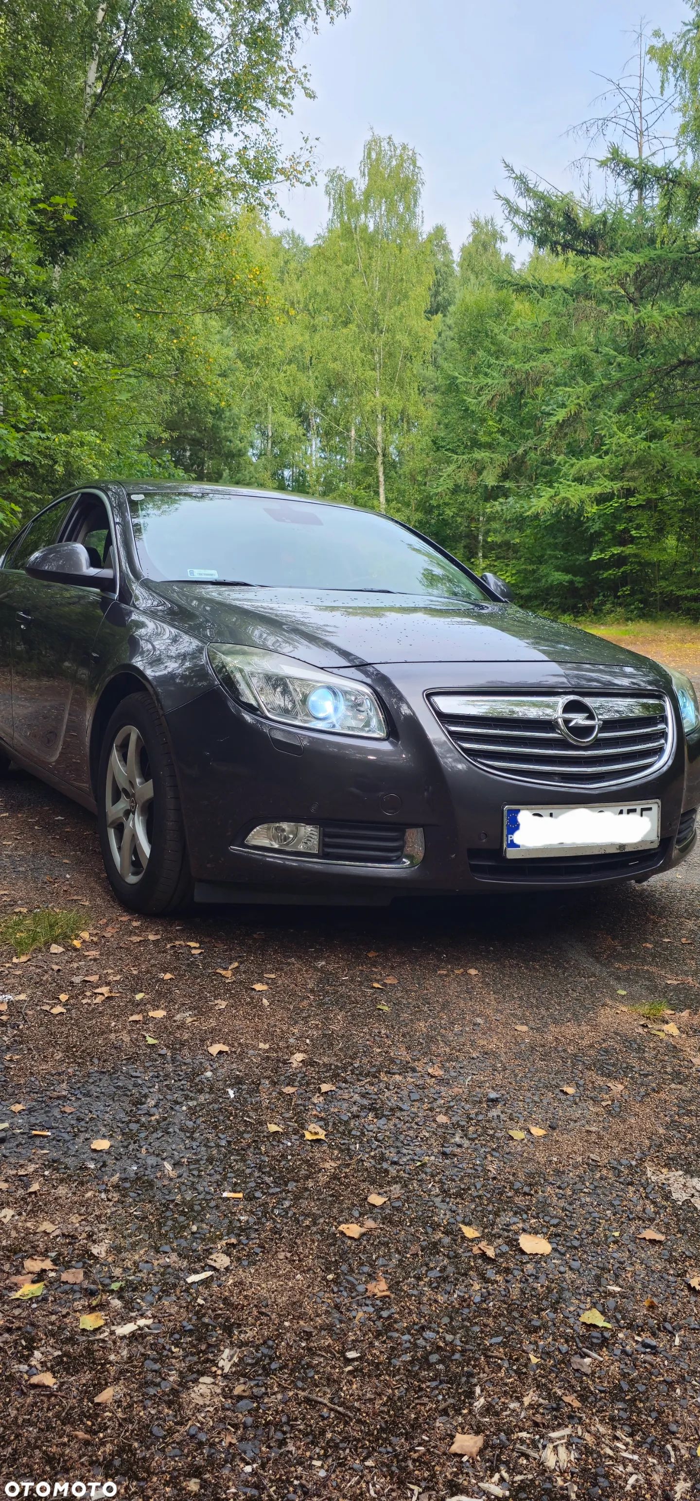 Opel Insignia 2.0 Turbo Sports Tourer 4x4 - 1