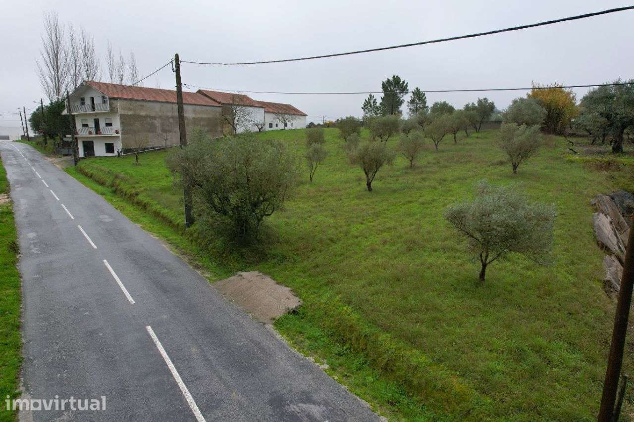 Terreno para construção na zona de Alburitel - Grande imagem: 5/13