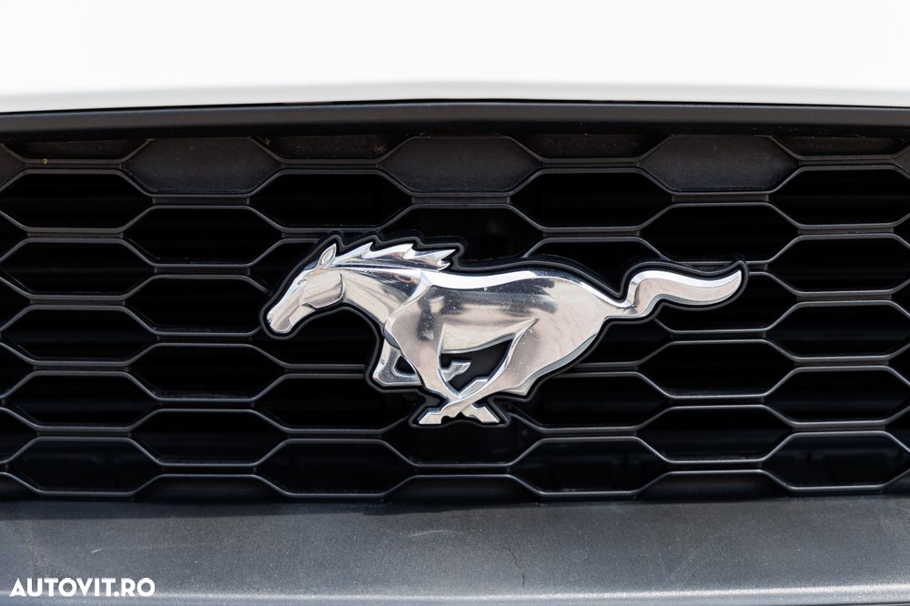Ford Mustang - 10