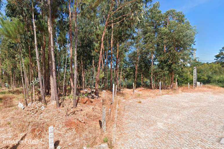 Terreno 14.275m2 - Vila Maior - Grande imagem: 4/6