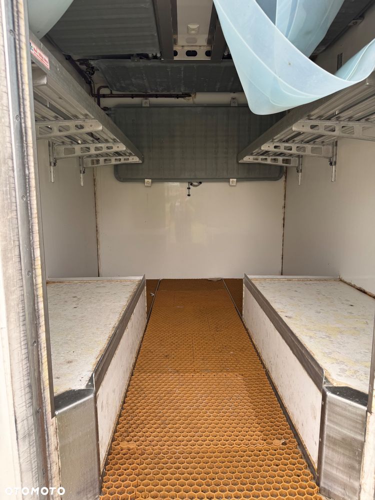 Renault Trafic - 6