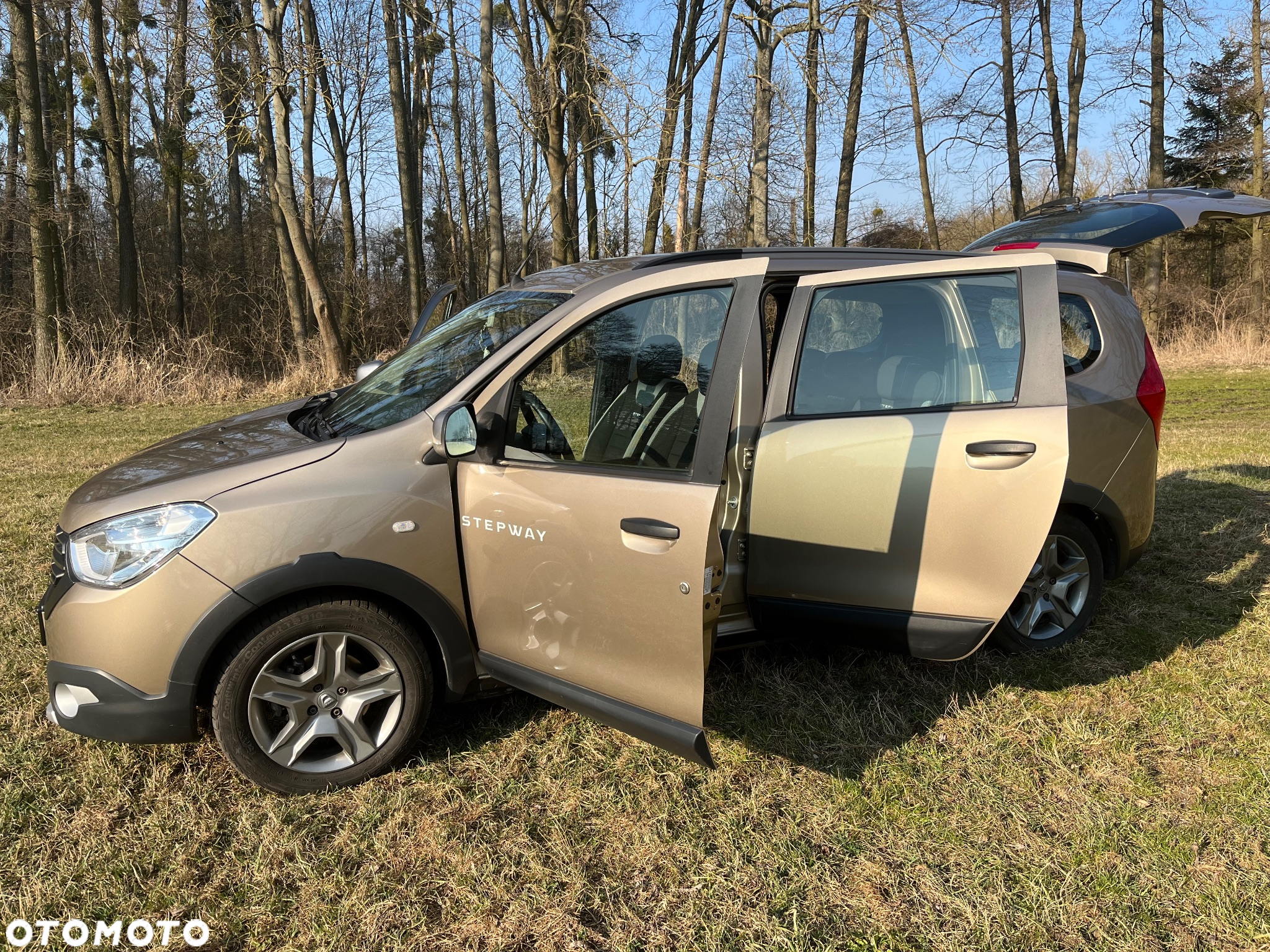 Dacia Lodgy Blue dCi 115 (7-Sitzer) Stepway Selection Blue - 14