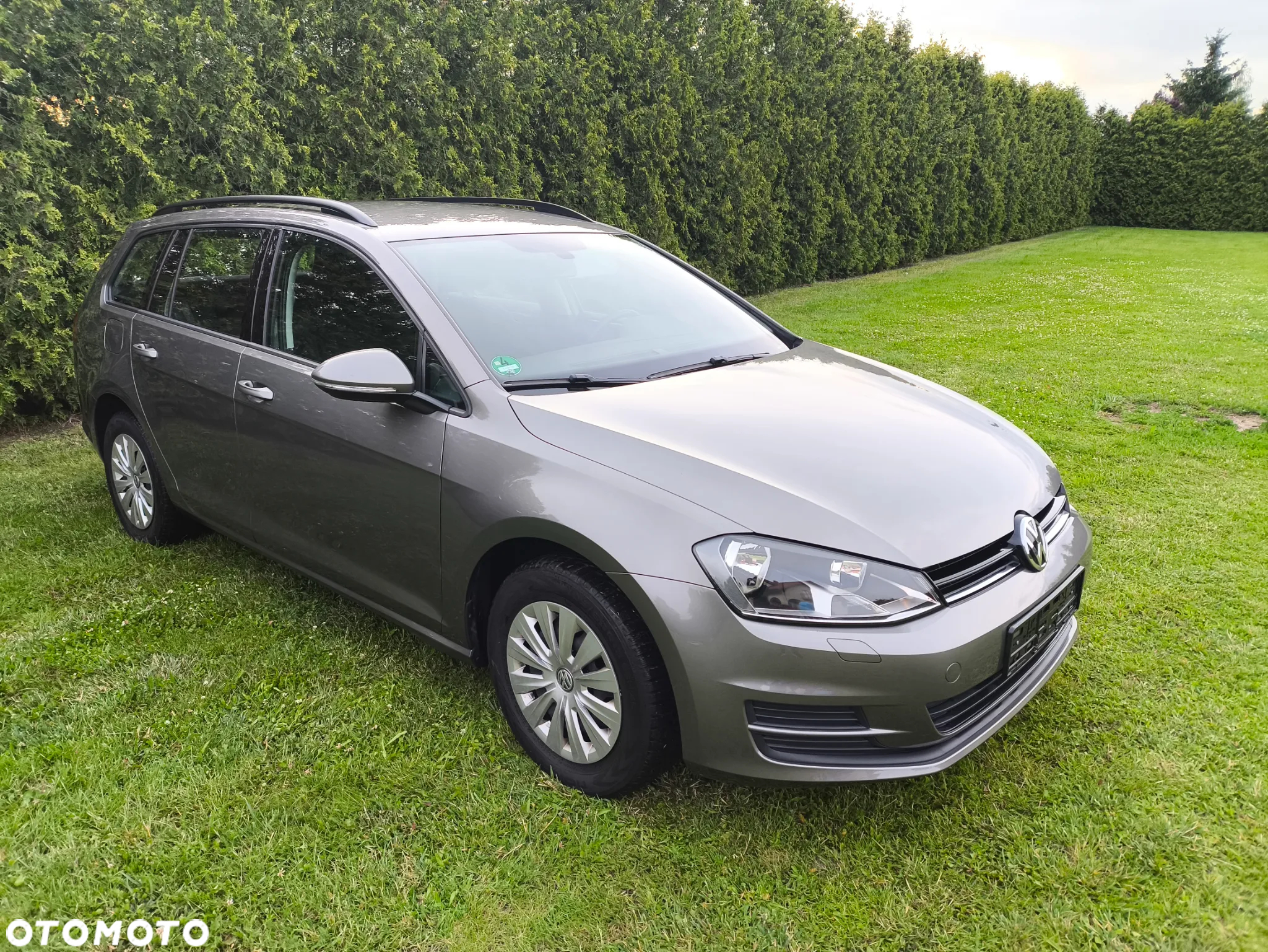 Volkswagen Golf VII 1.6 TDI BMT Trendline - 2