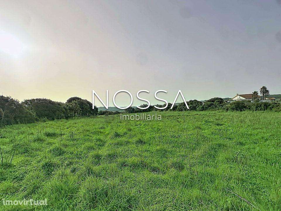 Terreno Rústico nas Raposeiras - Grande imagem: 3/30