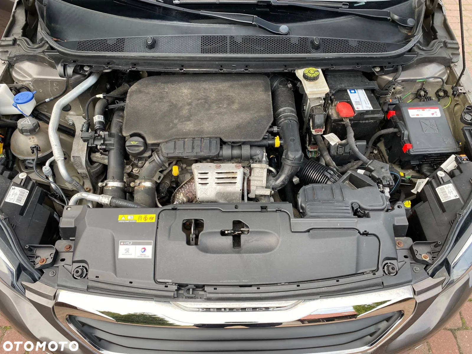 Peugeot 308 - 14
