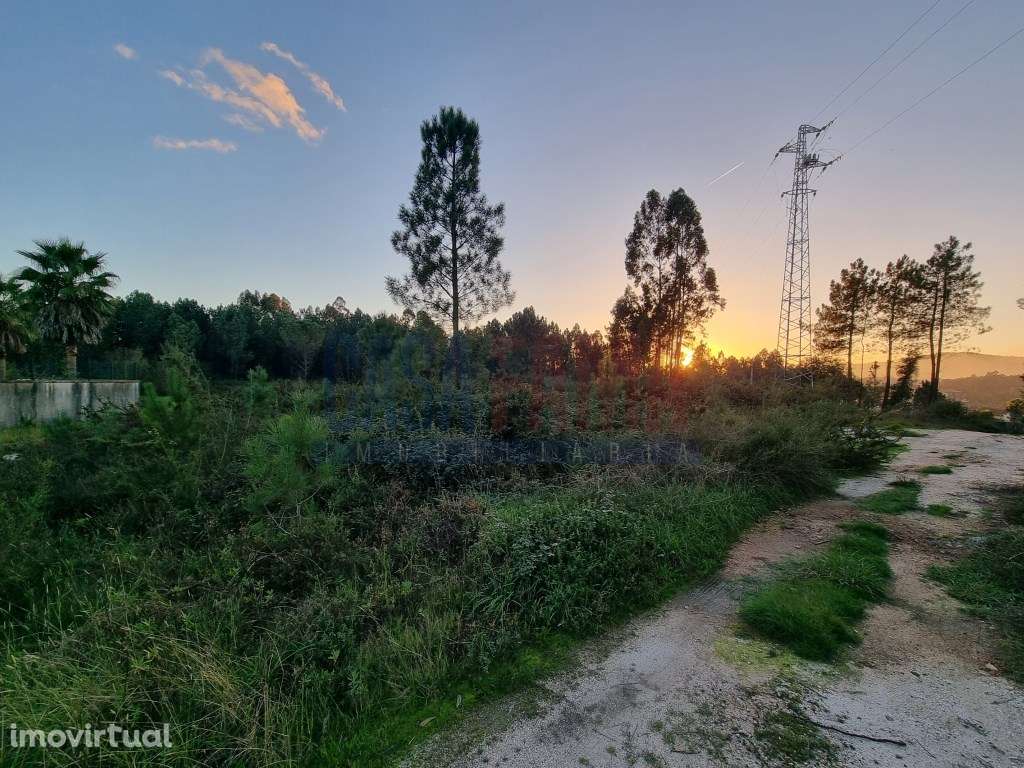 Terreno de construção em Ucha - Barcelos - Grande imagem: 2/11