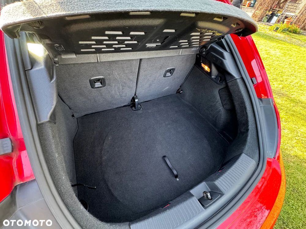Volkswagen Beetle - 19