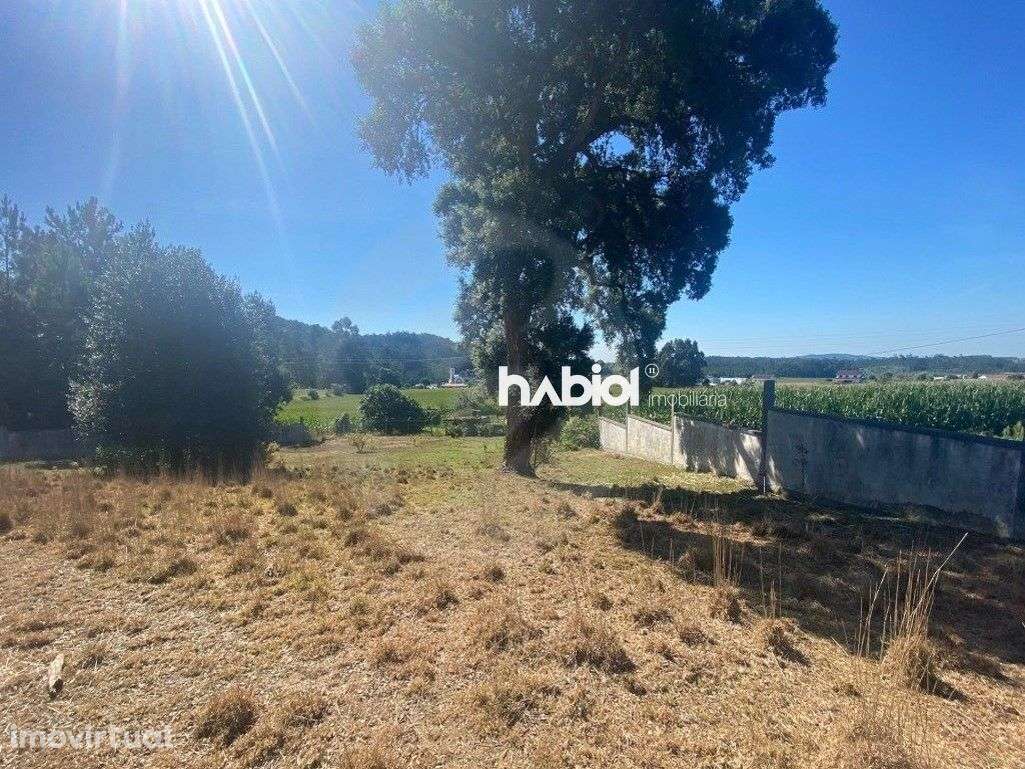 Lote para Construção de Moradia Térrea em Chorente Barcelos - Grande imagem: 5/9