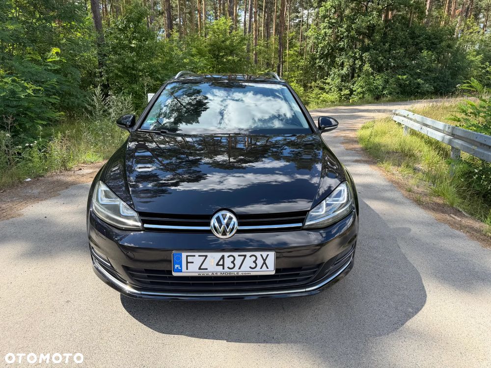 Volkswagen Golf 1.6 TDI BlueMotion Technology DSG Allstar - 8