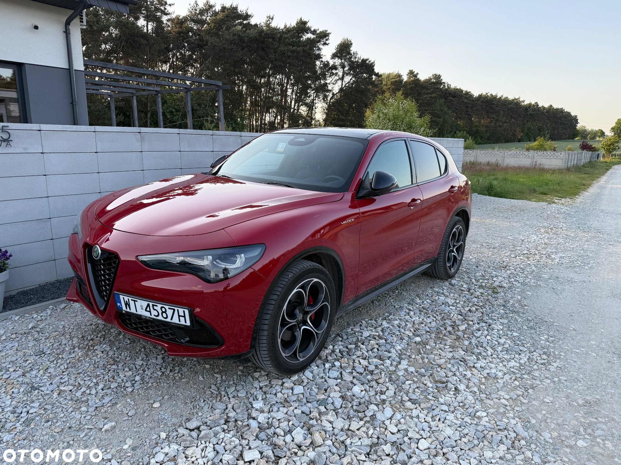 Alfa Romeo Stelvio 2.0 Turbo Veloce Q4 - 6