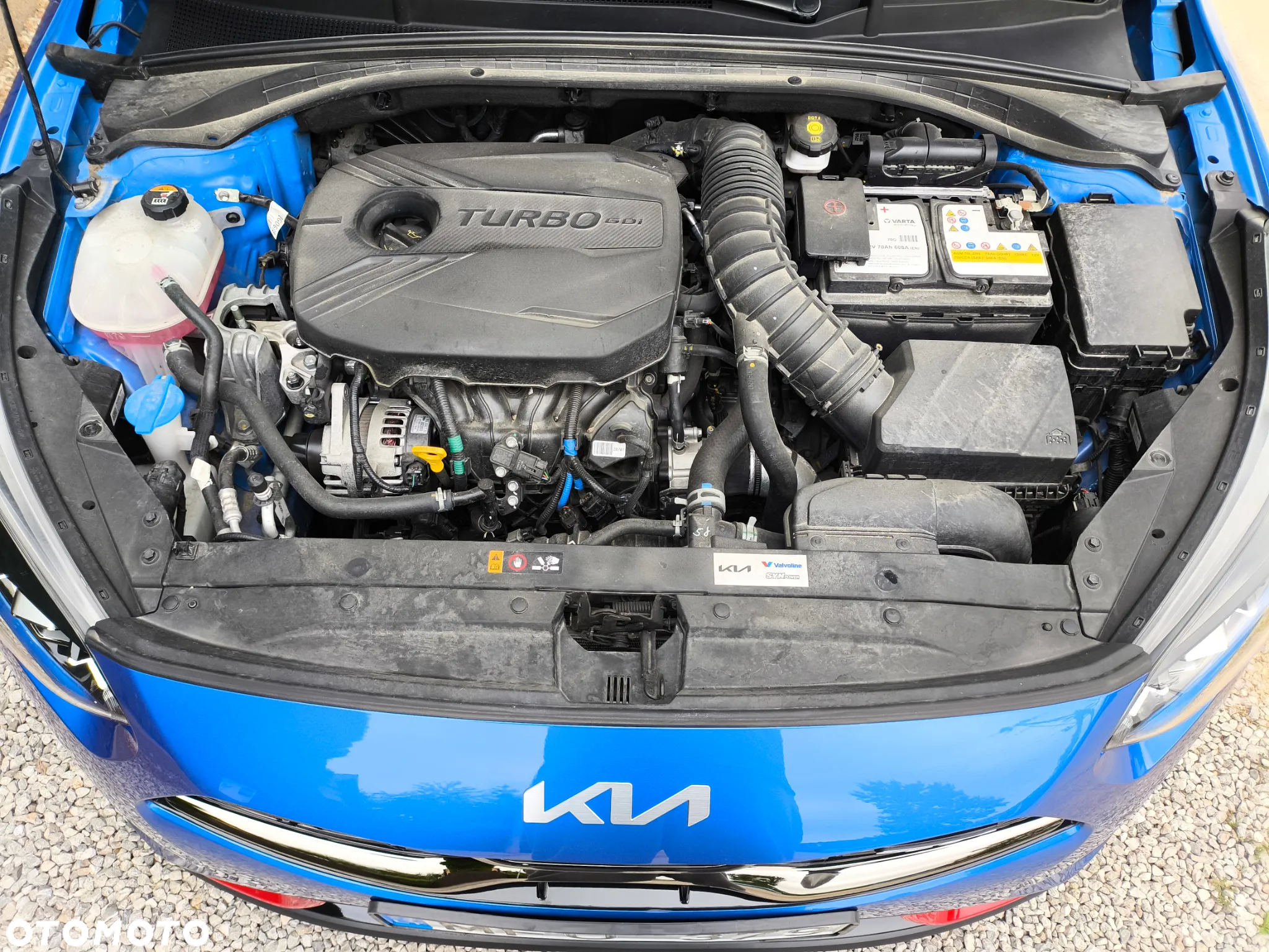 Kia ProCeed 1.6 T-GDI GT DCT - 8