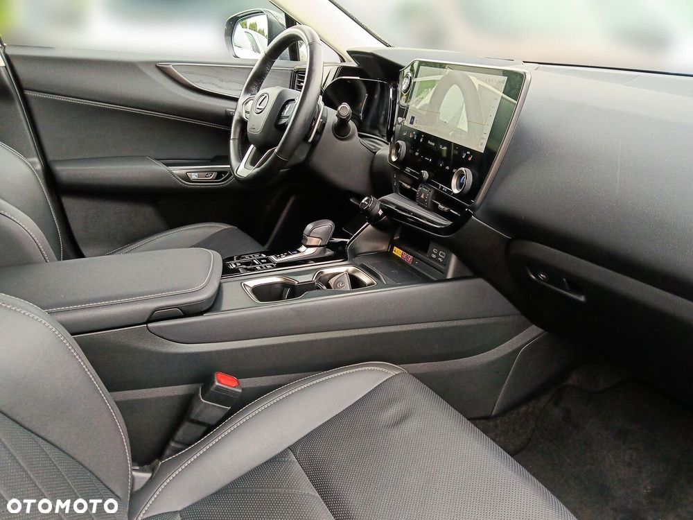 Lexus NX - 10