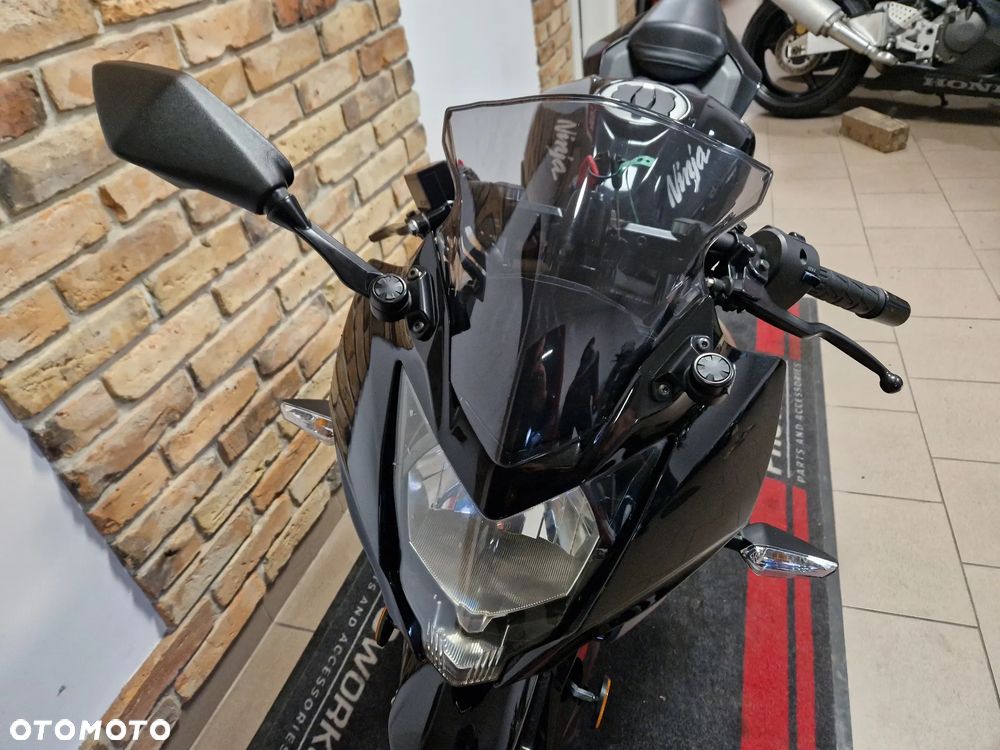 Kawasaki Ninja - 18