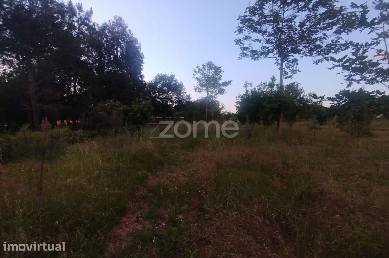 Terreno a 5 minutos do centro de Mangualde o seu Sonho - Grande imagem: 2/18