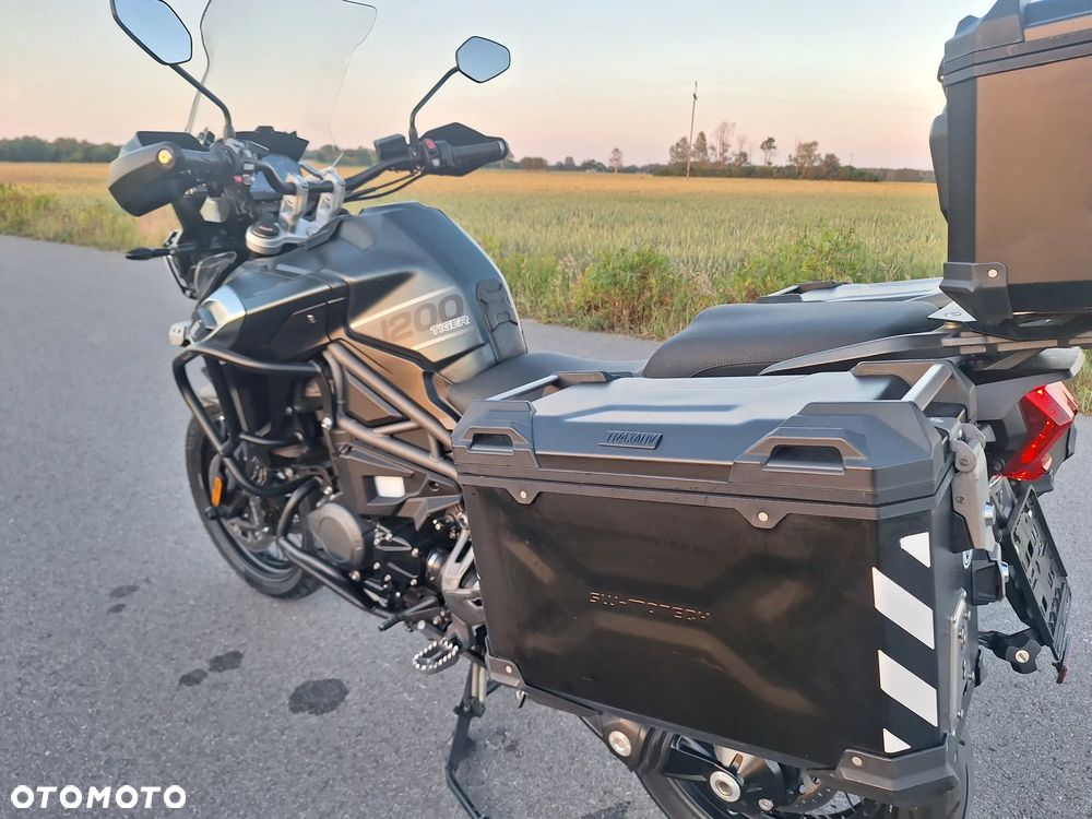 Triumph Tiger - 14