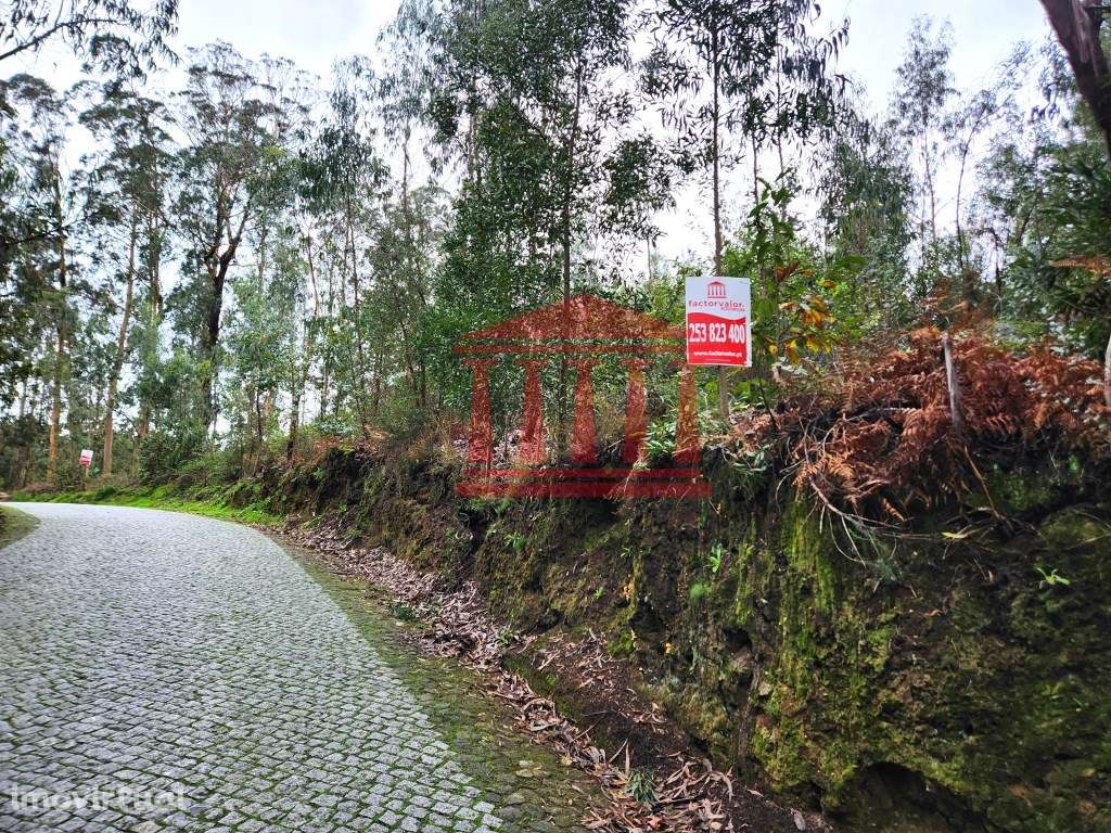 TERRENO PARA CONSTRUÇÃO - Grande imagem: 5/10