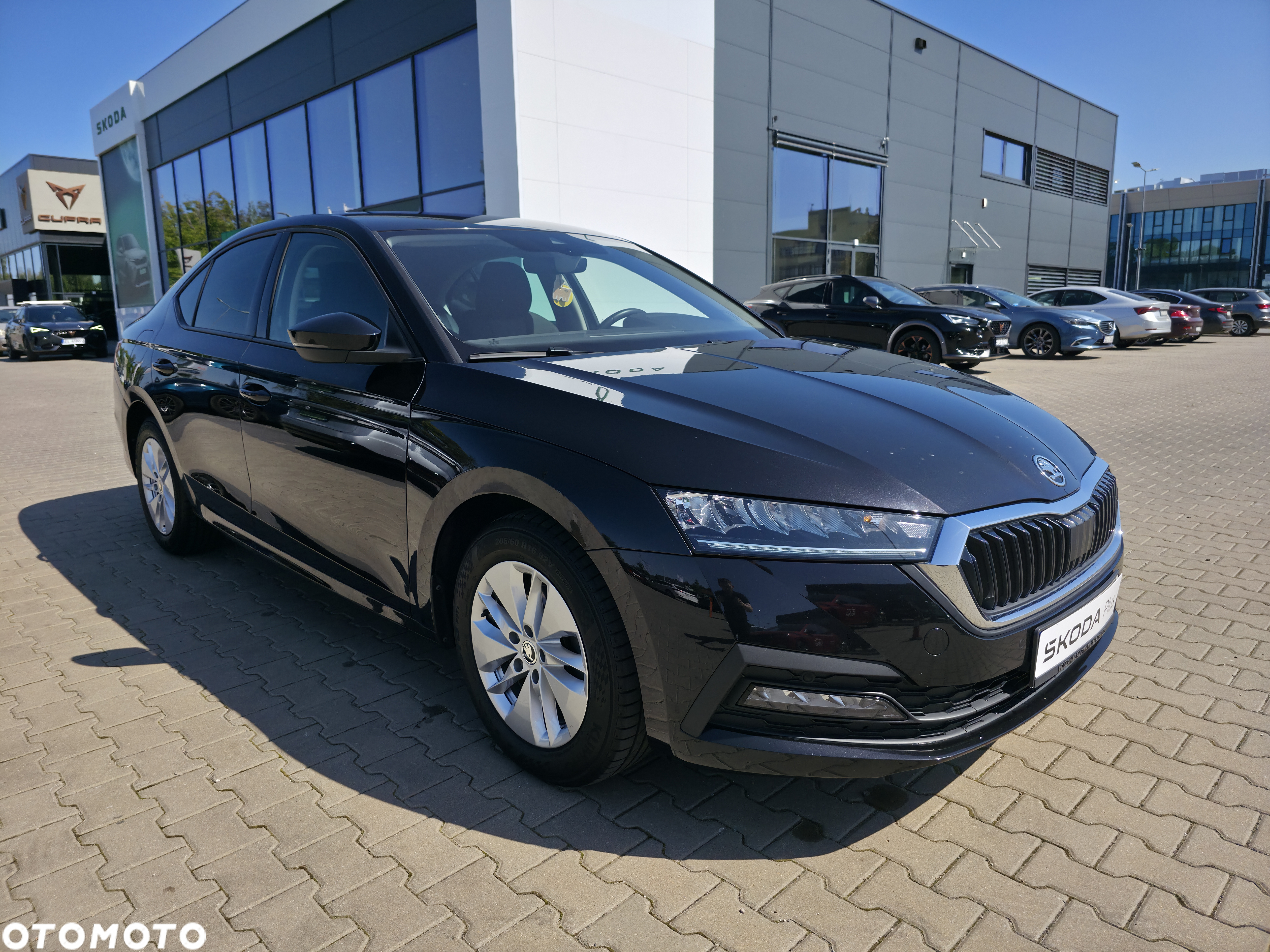 Skoda Octavia - 9