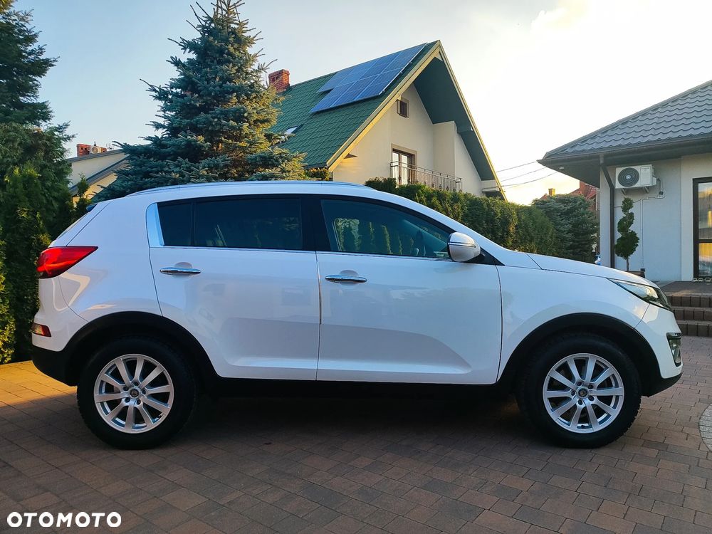 Kia Sportage - 6