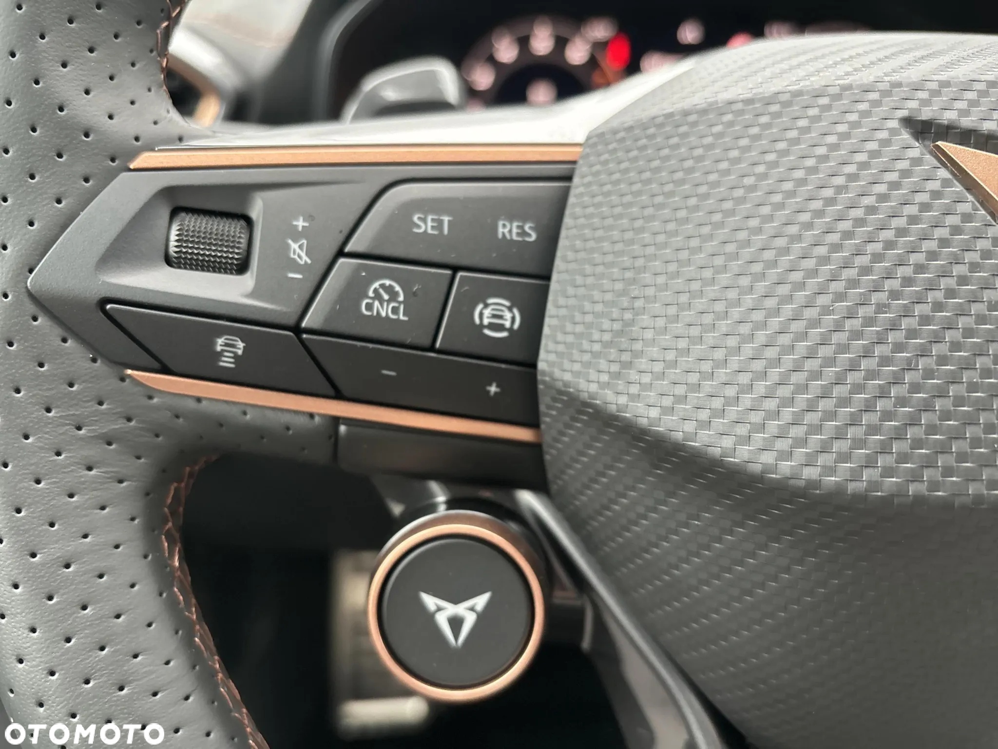 Cupra Formentor 1.5 TSI DSG - 17