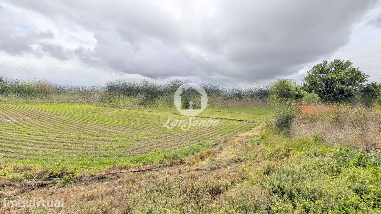 Terreno à Venda na Junqueira - Grande imagem: 4/18